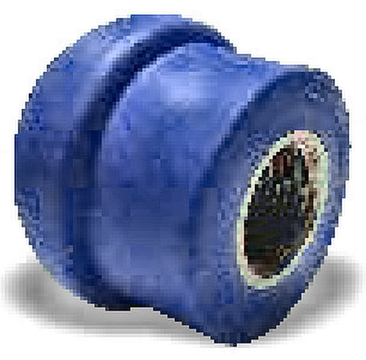 Weld In Saddle Female Threaded Coupling